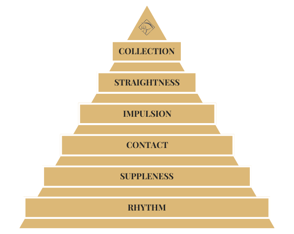dressage-training-pyramid-of-scale